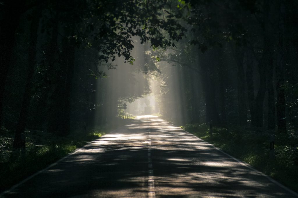 Light shines through a thick forest canopy on a long road. This could represent the hope a trauma therapist in Sacramento, CA can provide. Contact us to learn how marriage counseling in Sacramento, CA can support you! Therapy in Sacramento, CA can help you reach a better tomorrow! 95630 | 95747 | 95628